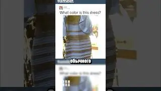 What color is the dress?