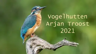 Sfeerbeelden vogelhutten Arjan Troost 2021