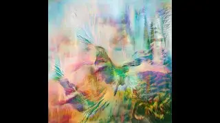 Seahawks - Time Enough For Love (Visualizer)