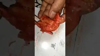 😡कोल्ड स्टोर से आ रहे टमाटर की सच्चाई