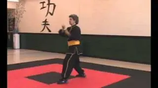 Sixteen Hands.wmv