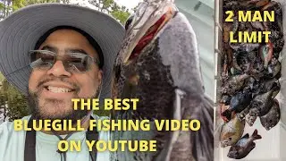 CATCHING SPAWNING BLUEGILLS || FISHING LAKE CRESCENT FLA