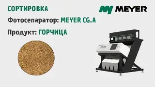 Очистка и сортировка горчицы на фотосепараторе MEYER