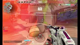 PROTOCOL 781-A phantom ace valorant ryena
