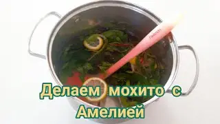 Игро-Машка в Саратове #8. Делаем мохито с Амелией