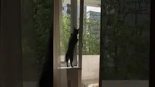У курского вокзала