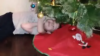 Нарядили ёлочку
