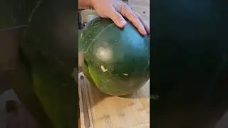 Cutting watermelon 🍉🍉🍉 So satisfying asmr #shorts #watermelon  #asmr #trending