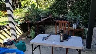 DestroyerMariko is live