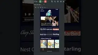 Create your Android Studio App 