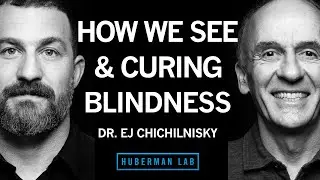 Dr. E.J. Chichilnisky: How the Brain Works, Curing Blindness & How to Navigate a Career Path