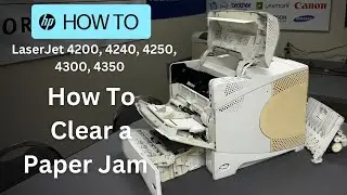 How To Clear a Paper Jam | HP LaserJet 4200, 4240, 4250, 4300, 4350