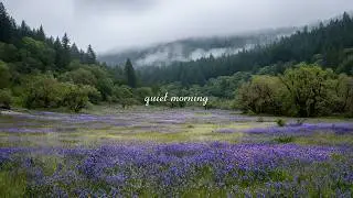 a piano playlist for a quiet morning 🪻🍃 (reading/studying/relaxing)