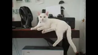 Life Vlog: Remembering our Baby M (Mogmog Pogi)