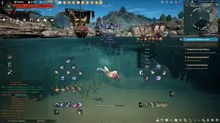 BDO Корсар - Русалка