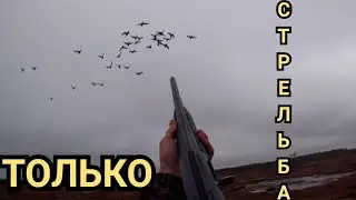 #ОХОТА