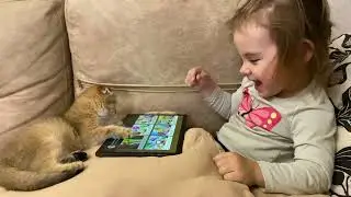 Котёнок вместе с племянницей смотрит мультики
