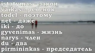 Урок 00056. Populiarūs žodžiai 3. Популярные слова 3. Уроки литовского языка.