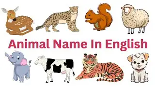 Animals Name |Animals Name in English with pictures#animalvideoforkids #animalname #animals #animal