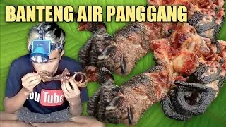 BUAYA BAKAR PEDAS MANIS
