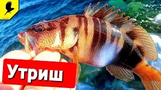 Утриш | Где в Анапе хорошо клюёт?  | Анапа | Рыбалка в чёрном море 