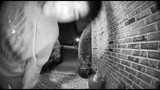 Ring doorbell meme