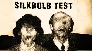 I REGRET TAKING THIS TEST | Silk Bulb Test Horror Game