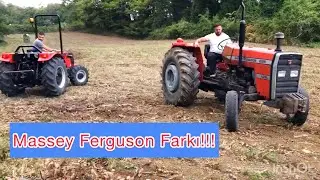 TÜMOSAN ÇEKEMEDİ, MASSEY FERGUSON 285 PARÇALADI!!! MASSEY FERGUSON GÜCÜ!!!