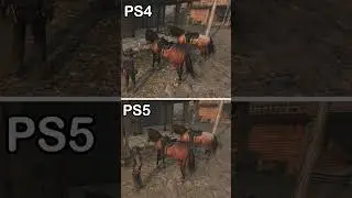 RDR 1 