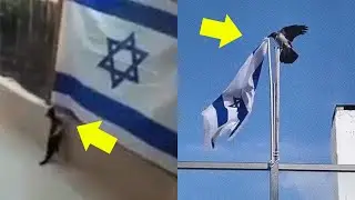 السبب الصادم لـ اسقاط الحيوانات علم اسرائيل