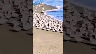 interesting videos 🤪😅