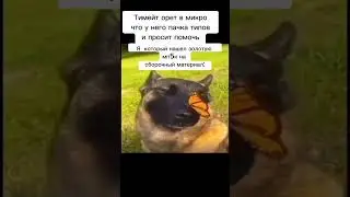 мем#мем#мемасики #мемы#мемас #мемасик#ржака #ржакадослез#прикол #смехота#смех #смехдослез#рек