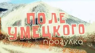 16 августа 2024 г.