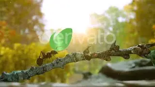 Autumn Forest Nature Logo by allinavvanilla on Envato Elements