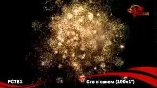 РС781 Сто в одном