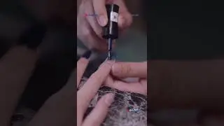 Saksikan kisah Kirana tampil bersinar layaknya bintang di YouTube channel Suzuki Indonesia!