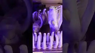 ⚡ You Won’t Believe What This 3D Printer Created—Watch the Mind-Blowing Time Lapse! 🎥🤯
