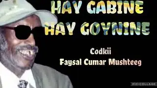 CODKII FAYSAL CUMAR MUSHTEEG