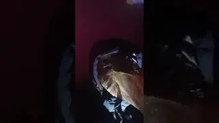 Лицо Ванька от чумного дока👀