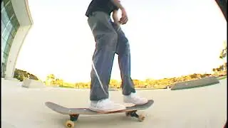 Dart Magnolia Part