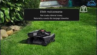 Robot Koszący TECH D1 - DOMO KALISZ