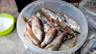 🦉Как СОЛИТЬ и СУШИТЬ🐟 РЫБУ (ВОБЛУ). Рецепт, проверенный временем.