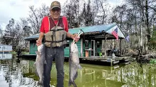 Houseboat Adventures Continued: Catfish on Trotlines and Cooking Wild Oyster Mushrooms! 