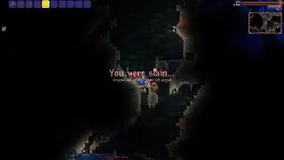 Terraria Hardcore Master Survivor 1