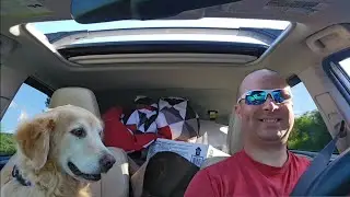 I'm camping in the middle of nowhere with my pup.. Sleeping in a suv vs. a Tacoma bed.