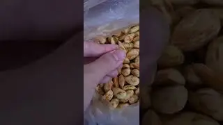 Молодой миндаль