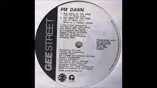 P.M. Dawn - The Ways Of The Wind (U.S. 12' Remix)