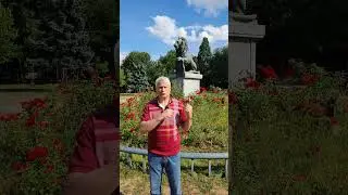 Кмете, кажи си!