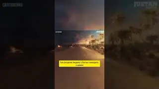 Правильная церковь