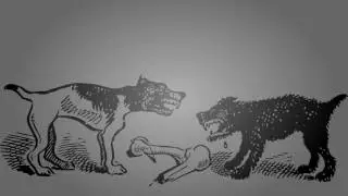 The Cat and the Fox